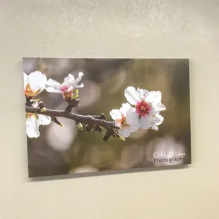 Canvas Prints