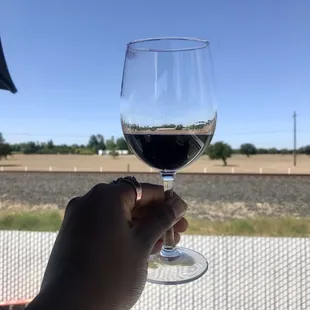 Enjoying some Zinfandel on their shaded patio