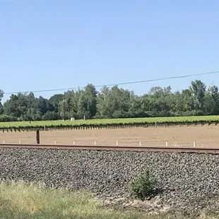 One of the views from tbt tasting room