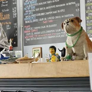 Breakfast and Bulldog