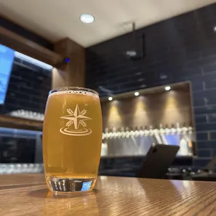 Toes in the Water Kolsch