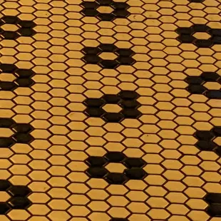 Old style tile on the entrance floor.