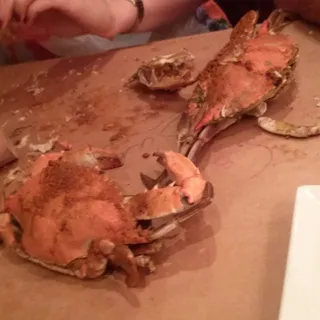 Maryland Blue Crab