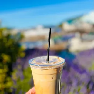 Iced Coconut/White Chocolate Mocha