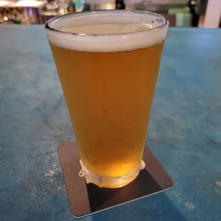 Daytona Dirty Blond 4.1% Persimmon Hollow Brewing Company, DeLand, Florida