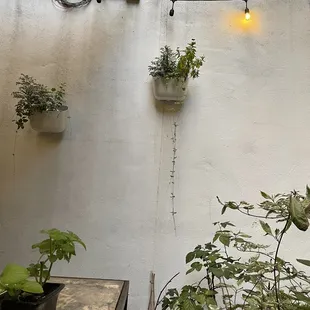 Inside