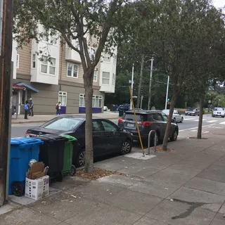 Chicken Salad Sandwich