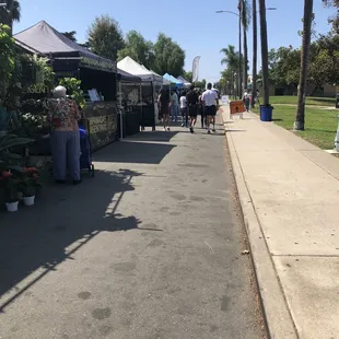 Chula Vista Farmers market  On Park Way  10-9-22