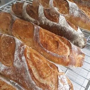 Sourdough baguettes
