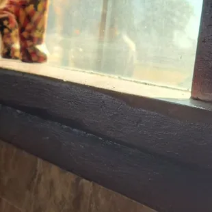 The coating of dust on the window sill.  I can't imagine what the kitchen looks like!