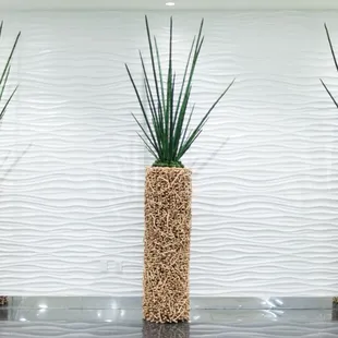 Essence Cannabis Dispensary -  Interior of Dispensary