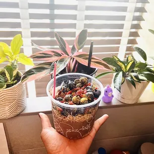Lavender Açaí bowl (takeout) at my office~ Just heavenly.
