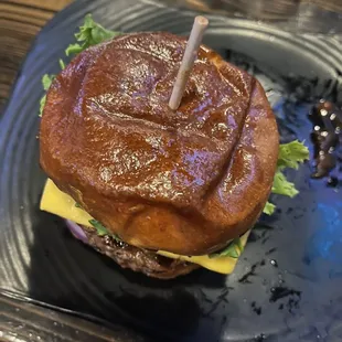 a burger on a plate