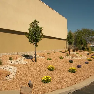 Rising Sun Landscaping & Maintenance