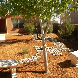 a stone bench and tree