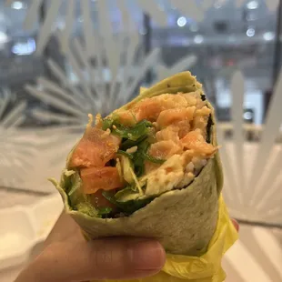 a hand holding a burrito