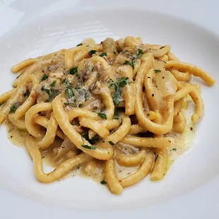 Bigoli in Salsa from Venezia