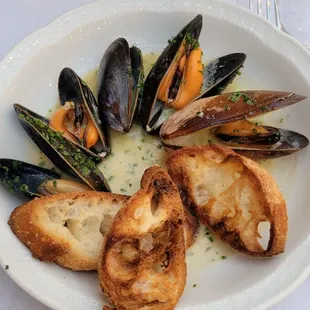 mussels, food, oysters and mussels, shellfish, oysters