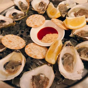 Oysters