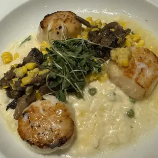 Scallops!