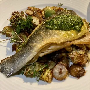 Halibut