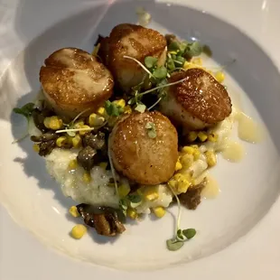 Scallops