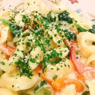 Cheese Tortellini