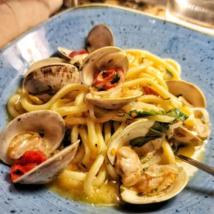 Clam linguini