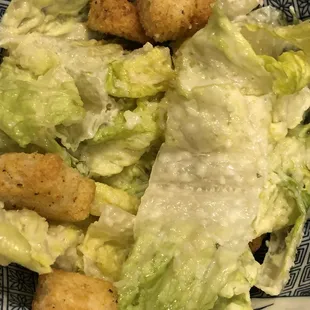 Cesar Salad