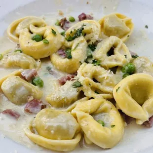 food, pasta dish, pasta