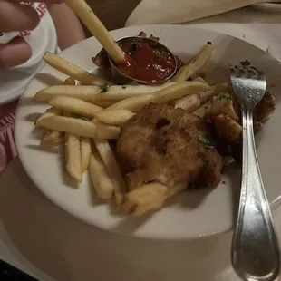 Breaded chicken and fries