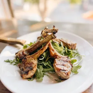Lamb Chops