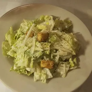Cesar Salad