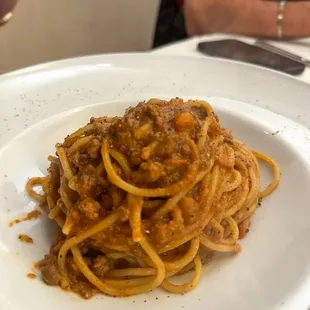 Bolognese