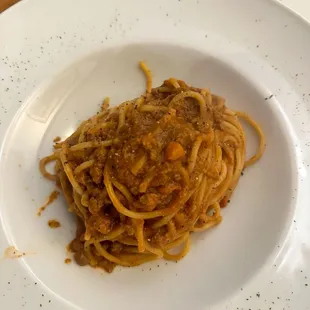 Bolognese