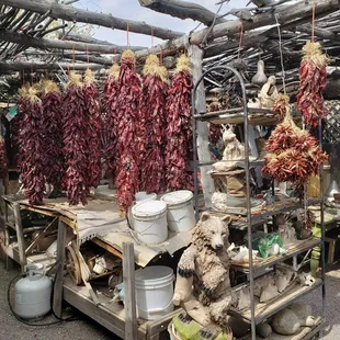 The owner was beyond helpful. He have me very detailed care instructions for my ristras