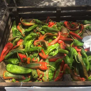 Grabbed some Ristra Chile on our way through. Great looking peppers.