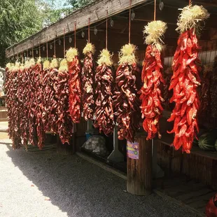 Grabbed some Ristra Chile on our way through. Great looking peppers.