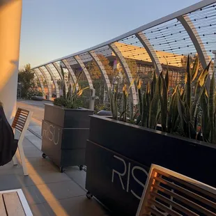 The walkway lights up at night