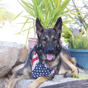 This was my boy Zak he didn't have to die