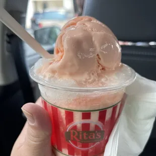 5 layer gelati. peach custard &amp; pina colada &amp; watermelon ice