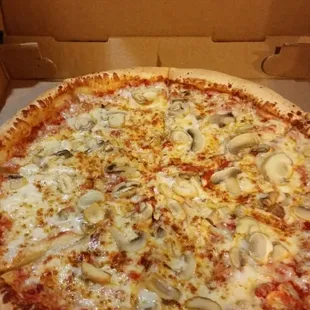 Hers (mushroom) pizza