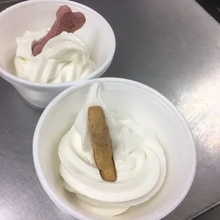 Something for everyone! Even the fur babies