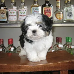 Rite Liquor