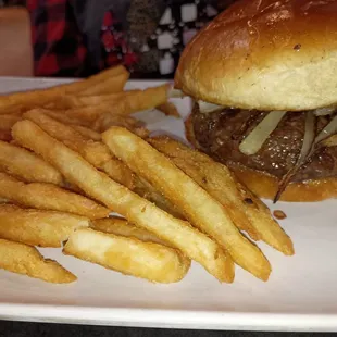 Burger fries - excellent