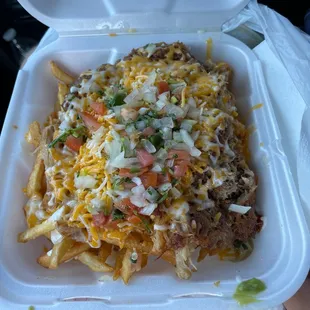 Carnitas Fries