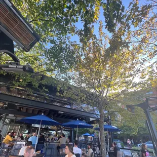 outside, tacos