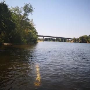 That was a pipe just below the surface of the water.  PVC or something?