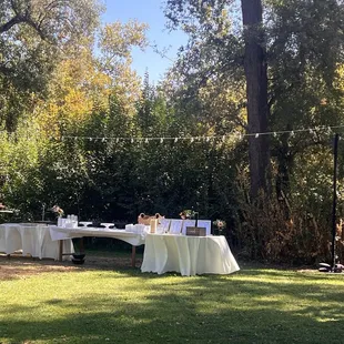 Appetizer &amp; Dessert Table