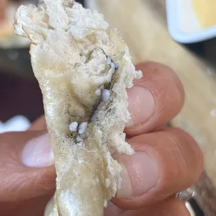 Mold